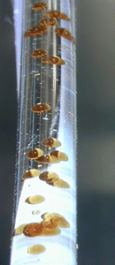 Droplets in DCCC